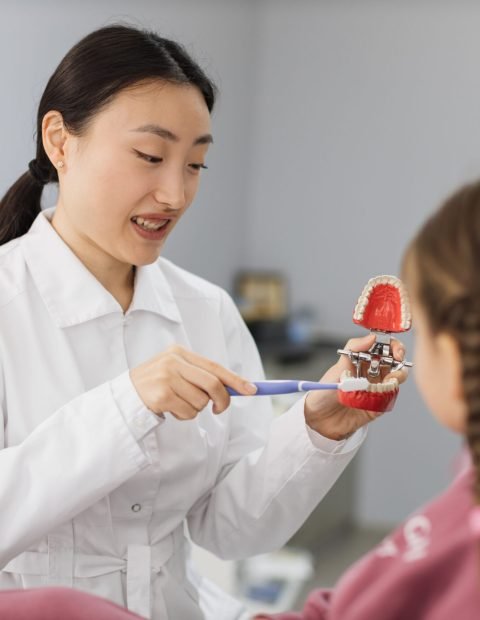 Side view of young pretty asian pediatric dentist showing to preschool girl how to brush teeth